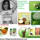 Natural Treatment for Vitiligo with Herbal Ingredients and Oil